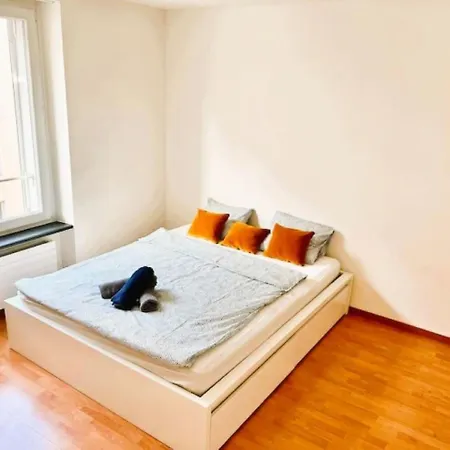2 Center Flats With Balcony - Hildab Zurigo
